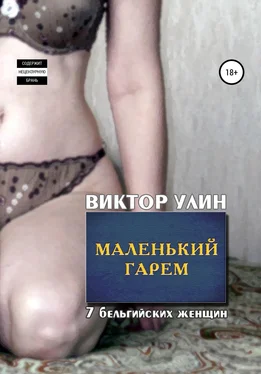 Виктор Улин Маленький гарем обложка книги