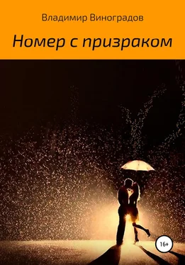 Владимир Виноградов Номер с призраком обложка книги