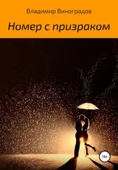 Владимир Виноградов - Номер с призраком