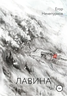 Егор Нечепурнов Лавина обложка книги