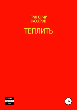 Григорий Сахаров Теплить обложка книги