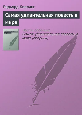 Редьярд Киплинг Самая удивительная повесть в мире обложка книги