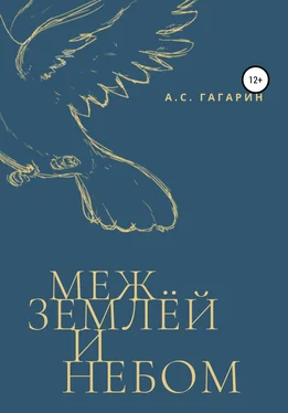 Алексей Гагарин Меж землёй и небом обложка книги