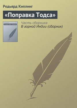 Редьярд Киплинг «Поправка Тодса» обложка книги