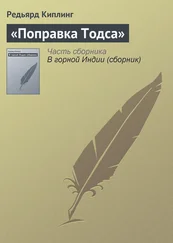 Редьярд Киплинг - «Поправка Тодса»