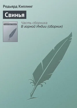 Редьярд Киплинг Свинья обложка книги