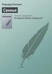 Редьярд Киплинг - Свинья