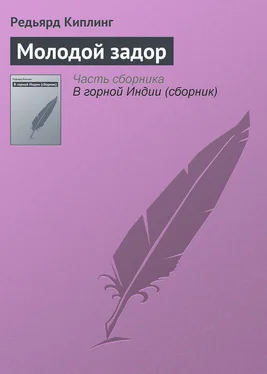 Редьярд Киплинг Молодой задор обложка книги