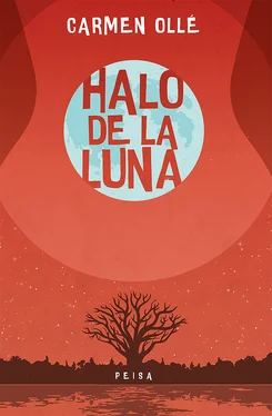 Carmen Ollé Halo de la luna обложка книги