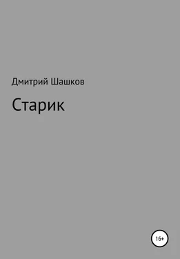 Дмитрий Шашков Старик обложка книги