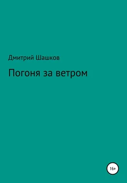 Дмитрий Шашков Погоня за ветром