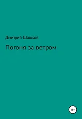 Дмитрий Шашков - Погоня за ветром