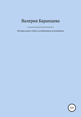 Валерия Баранцева История одного тубуса, или Внезапное исчезновение обложка книги