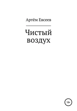 Артём Евсеев Чистый воздух обложка книги