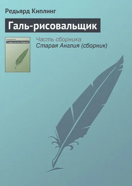 Редьярд Киплинг Галь-рисовальщик обложка книги