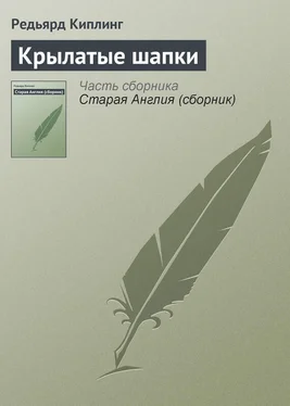 Редьярд Киплинг Крылатые шапки обложка книги