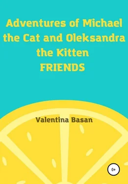Валентина Басан Adventures of Michael the Cat and Oleksandra the Kitten. Friends обложка книги