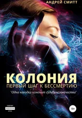 Андрей Смитт - Колония – первый шаг к бессмертию