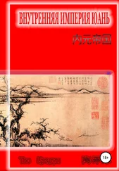Цзэдун Тао - Внутренняя империя Юань