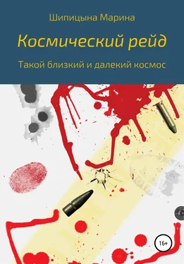 Марина Шипицына Космический рейд обложка книги