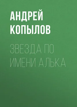 Андрей Копылов Звезда по имени Алька обложка книги