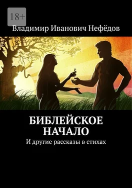 Владимир Нефёдов Библейское начало. И другие рассказы в стихах обложка книги