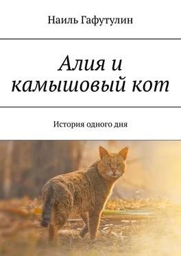 Наиль Гафутулин Алия и камышовый кот. История одного дня обложка книги