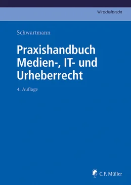 Anne Hahn Praxishandbuch Medien-, IT- und Urheberrecht обложка книги