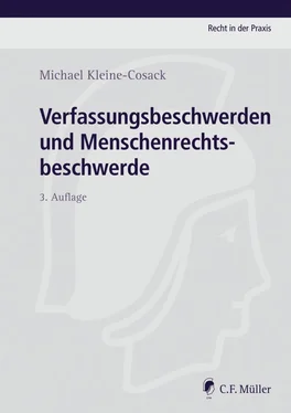 Michael Kleine-Cosack Verfassungsbeschwerden und Menschenrechtsbeschwerde обложка книги