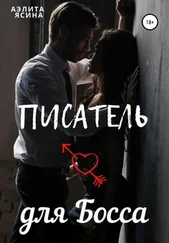 Аэлита Ясина - Писатель для Босса