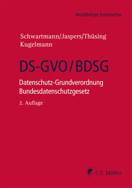 David Klein DS-GVO/BDSG обложка книги