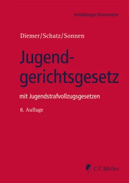 Herbert Diemer Jugendgerichtsgesetz обложка книги