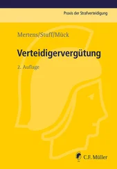 Andreas Mertens - Verteidigervergütung