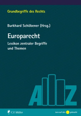 Bernhard Kempen Europarecht обложка книги