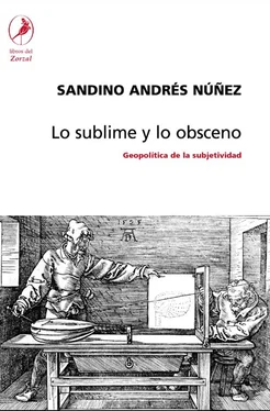 Sandino Andrés Núñez Lo sublime y lo obsceno обложка книги