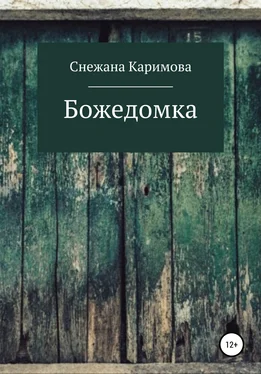 Снежана Каримова Божедомка обложка книги