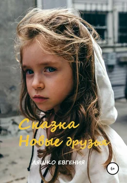 Евгения Ляшко Новые друзья обложка книги