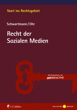 Rolf Schwartmann Recht der Sozialen Medien обложка книги