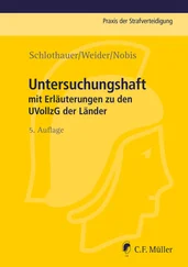Reinhold Schlothauer - Untersuchungshaft