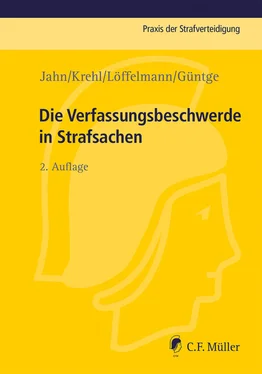 Matthias Jahn Die Verfassungsbeschwerde in Strafsachen обложка книги