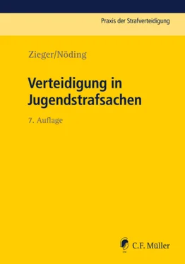 Matthias Zieger Verteidigung in Jugendstrafsachen обложка книги