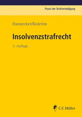 Gerhard Dannecker Insolvenzstrafrecht обложка книги