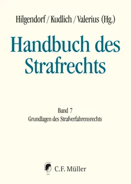 Manuel Ladiges Handbuch des Strafrechts обложка книги