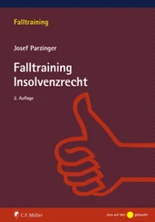 Josef Parzinger - Falltraining Insolvenzrecht