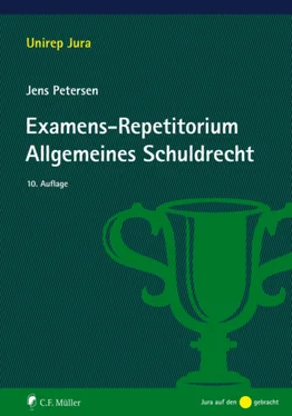 Jens Petersen Examens-Repetitorium Allgemeines Schuldrecht обложка книги