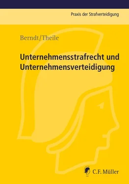 Markus Berndt Unternehmensstrafrecht und Unternehmensverteidigung обложка книги