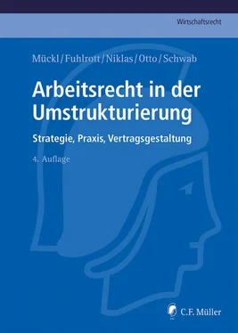 Stefan Schwab Arbeitsrecht in der Umstrukturierung обложка книги