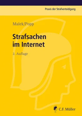 Andreas Popp Strafsachen im Internet обложка книги