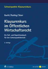 Stefan Storr - Klausurenkurs im Öffentlichen Wirtschaftsrecht