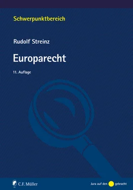 Rudolf Streinz Europarecht обложка книги